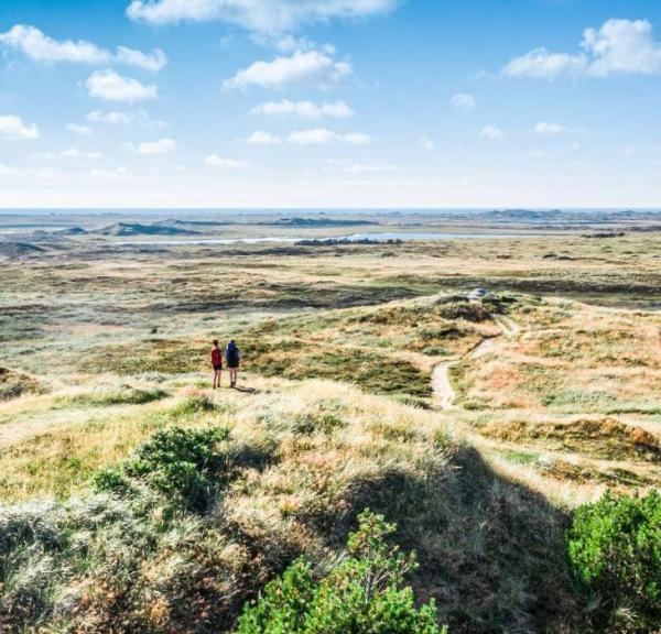 Isbjerg i Nationalpark Thy