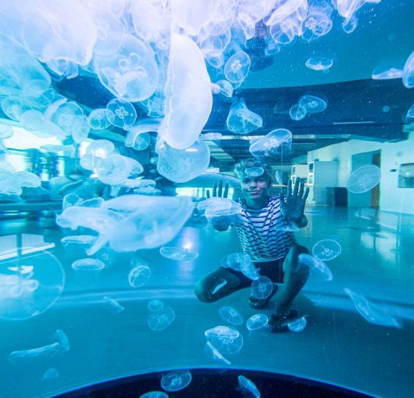 Nordsøen Oceanarium, Hirtshals