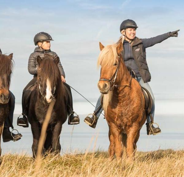 Ridetur, Fårup, Fårup Sommerland, Hest