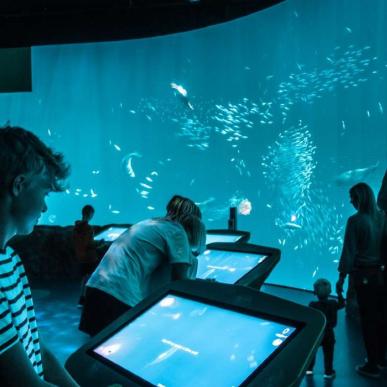 Nordsøen Oceanarium