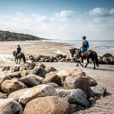 Ridetur på stranden