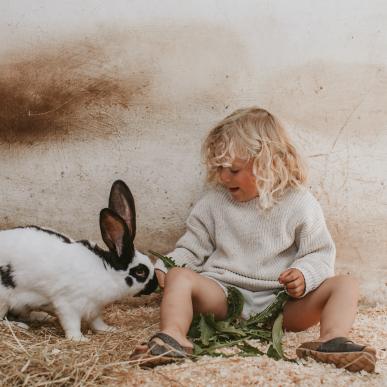 Skallerup Seaside Resort - dyregården