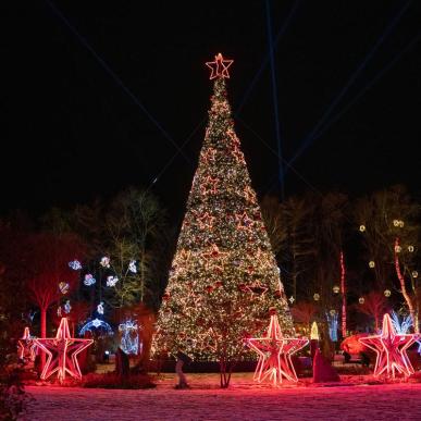 Skulpturparken Blokhus_jul