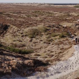 Naturvandring i Rødhus Klitplantage