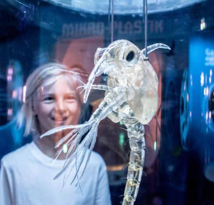 Nordsøen Oceanarium, Hirtshals